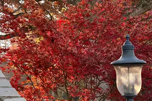 165 Lapier St, Glencoe, IL 60022 - Photo 53