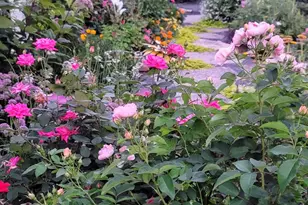 321 Vine St, Wilmette, IL 60091 - Photo 35