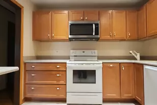 4605 W 84th Pl, Chicago, IL 60652 - Photo 13