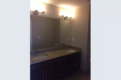 728 Diamond Lake Road #409, Mundelein, IL 60060 - Photo 11