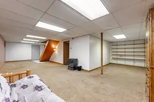 1005 Autumn Ct, Davis, IL 61019 - Photo 29