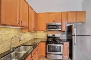 1512 S Halsted St, Chicago, IL 60607 - Photo 9