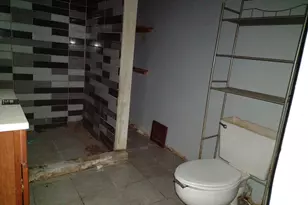 113 Arizona Ave, Joliet, IL 60433 - Photo 13