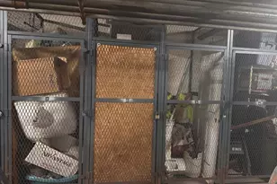 1100 E Randville Dr, Palatine, IL 60074 - Photo 19