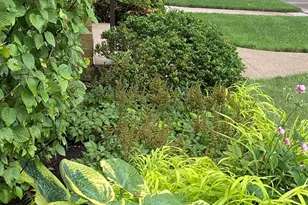 4957 N Lowell Ave, Chicago, IL 60630 - Photo 23