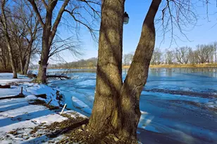 13420 Howard Rd, Prophetstown, IL 61277 - Photo 13