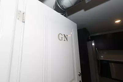 4117 S Michigan Avenue #GN, Chicago, IL 60653 - Photo 13