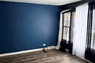 5315 S Lowe Ave, Chicago, IL 60609 - Photo 3