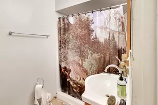 4910 Parkview Dr, McCullom Lake, IL 60050 - Photo 13