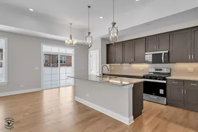 19209 Buncrana Circle, Tinley Park, IL 60487 - Photo 11