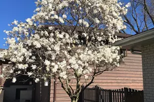 [Address not provided], Downers Grove, IL 60516 - Photo 43