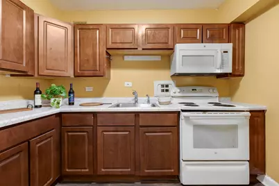 7337 S South Shore Drive #326, Chicago, IL 60649 - Photo 11