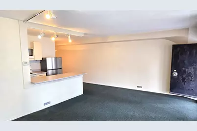 300 N State Street #2126, Chicago, IL 60654 - Photo 3