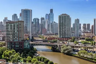 700 N Larrabee St, Chicago, IL 60654 - Photo 9