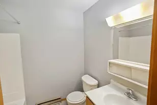 405 E Reed St, Braidwood, IL 60408 - Photo 9