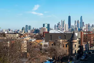 466 N Paulina St, Chicago, IL 60622 - Photo 29