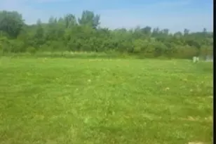 6704 Bridle Path Dr, Matteson, IL 60443 - Photo 9