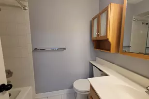 1001 E Callero Cir, Mount Prospect, IL 60056 - Photo 9