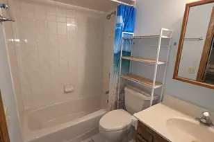 18007 Indiana Ct, Orland Park, IL 60467 - Photo 33