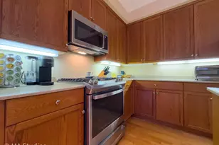 8400 Callie Ave, Morton Grove, IL 60053 - Photo 11