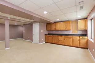 54 Meadows Dr, Gilberts, IL 60136 - Photo 25