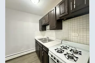 4537 N Dover Street #1D, Chicago, IL 60640 - Photo 9