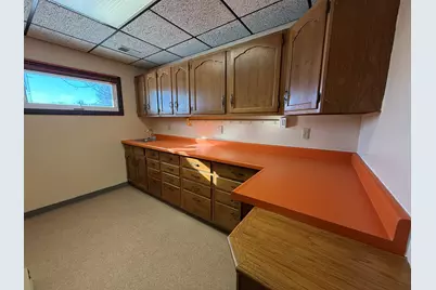 103 S John Street, Dwight, IL 60420 - Photo 9