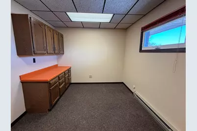 103 S John Street, Dwight, IL 60420 - Photo 13