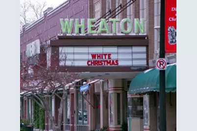 1217 Sunset Road, Wheaton, IL 60189 - Photo 37