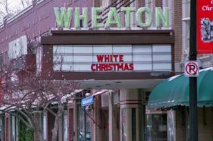 1217 Sunset Rd, Wheaton, IL 60189 - Photo 37