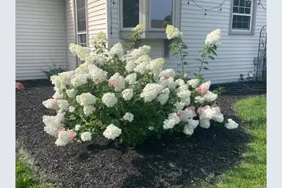 953 Cordova Court, Wheaton, IL 60189 - Photo 29