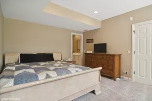 5881 Teal Ln, Long Grove, IL 60047 - Photo 43