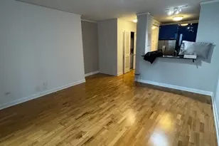 450 E Waterside Dr, Chicago, IL 60601 - Photo 3