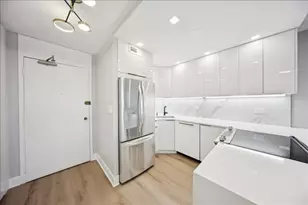 88 W Schiller St, Chicago, IL 60610 - Photo 5