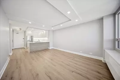 88 W Schiller Street #2107L, Chicago, IL 60610 - Photo 9