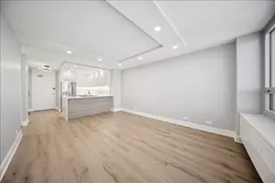 88 W Schiller St, Chicago, IL 60610 - Photo 9