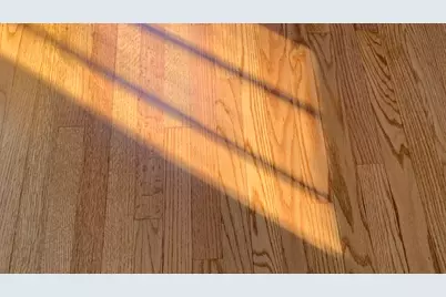 2513 S 18th Avenue, Broadview, IL 60155 - Photo 17