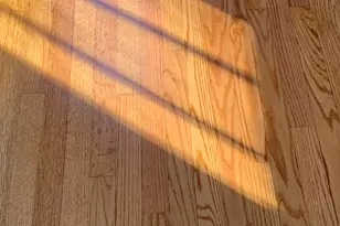 2513 S 18th Ave, Broadview, IL 60155 - Photo 17