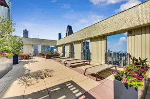 100 E Bellevue Pl, Chicago, IL 60611 - Photo 45