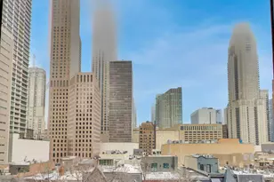 100 E Bellevue Pl, Chicago, IL 60611 - Photo 11