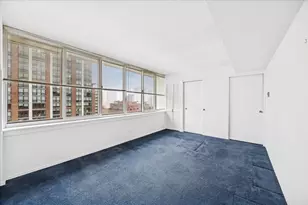 1 E Schiller St, Chicago, IL 60610 - Photo 19