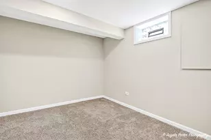 209 Geneva Ln, McHenry, IL 60051 - Photo 33