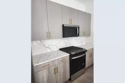 4625 S Michigan Avenue #2, Chicago, IL 60653 - Photo 3