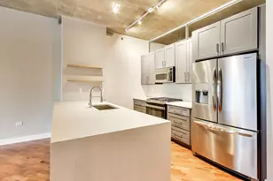 1305 S Michigan Ave, Chicago, IL 60605 - Photo 9