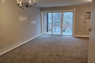3913 Saratoga Ave, Downers Grove, IL 60515 - Photo 5