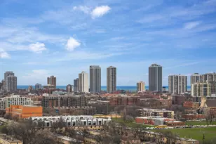 500 W Superior St, Chicago, IL 60654 - Photo 23