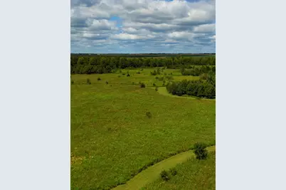 97.49 Acres 2700 North Road, Ashkum, IL 60911 - Photo 7