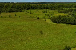 97 49 Acres 2700 North Rd, Ashkum, IL 60911 - Photo 9
