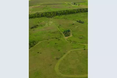 97.49 Acres 2700 North Road, Ashkum, IL 60911 - Photo 5