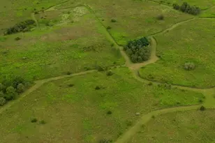 97 49 Acres 2700 North Rd, Ashkum, IL 60911 - Photo 5